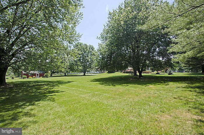 13227 Fork Road Baldwin, MD 21013 - Photo 28 of 30 Back Yard