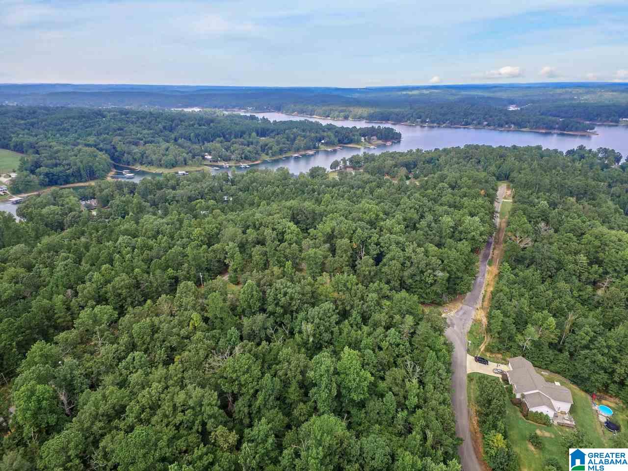 0 Harbor Light Trail, Unit 1 Jasper, AL 35504 - Photo 1 of 22