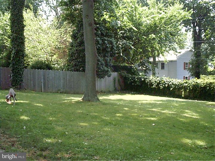 40 Laubert Road Conshohocken, PA 19428 - Photo 12 of 12 Back Yard