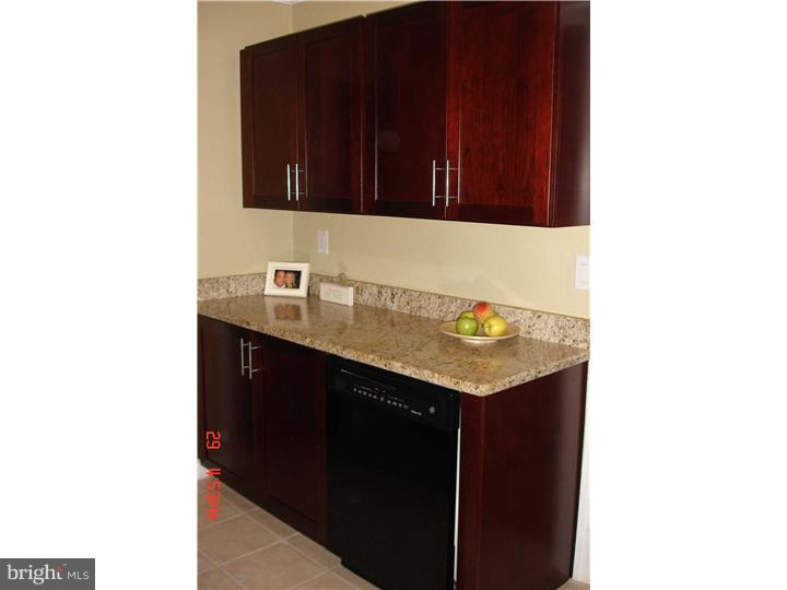 40 Laubert Road Conshohocken, PA 19428 - Photo 5 of 12 Kitchen