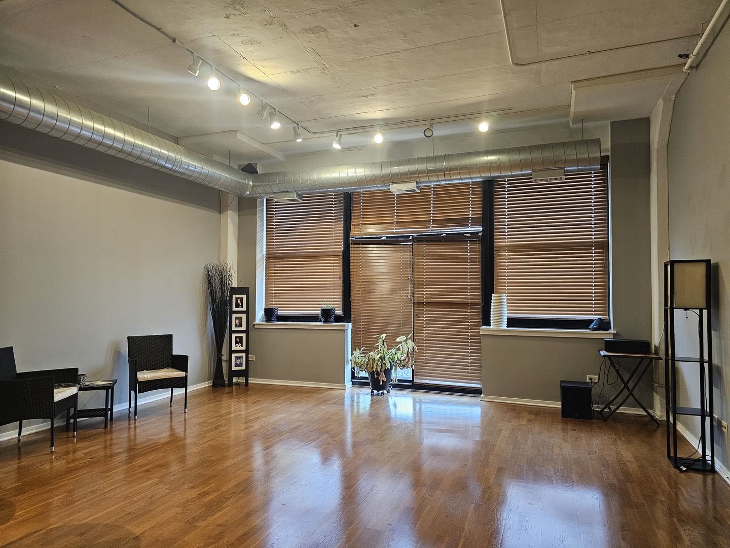 2323 West Pershing Road, Unit 230 Chicago, IL 60609 - Photo 5 of 30 a view of livingroom with furniture and windows