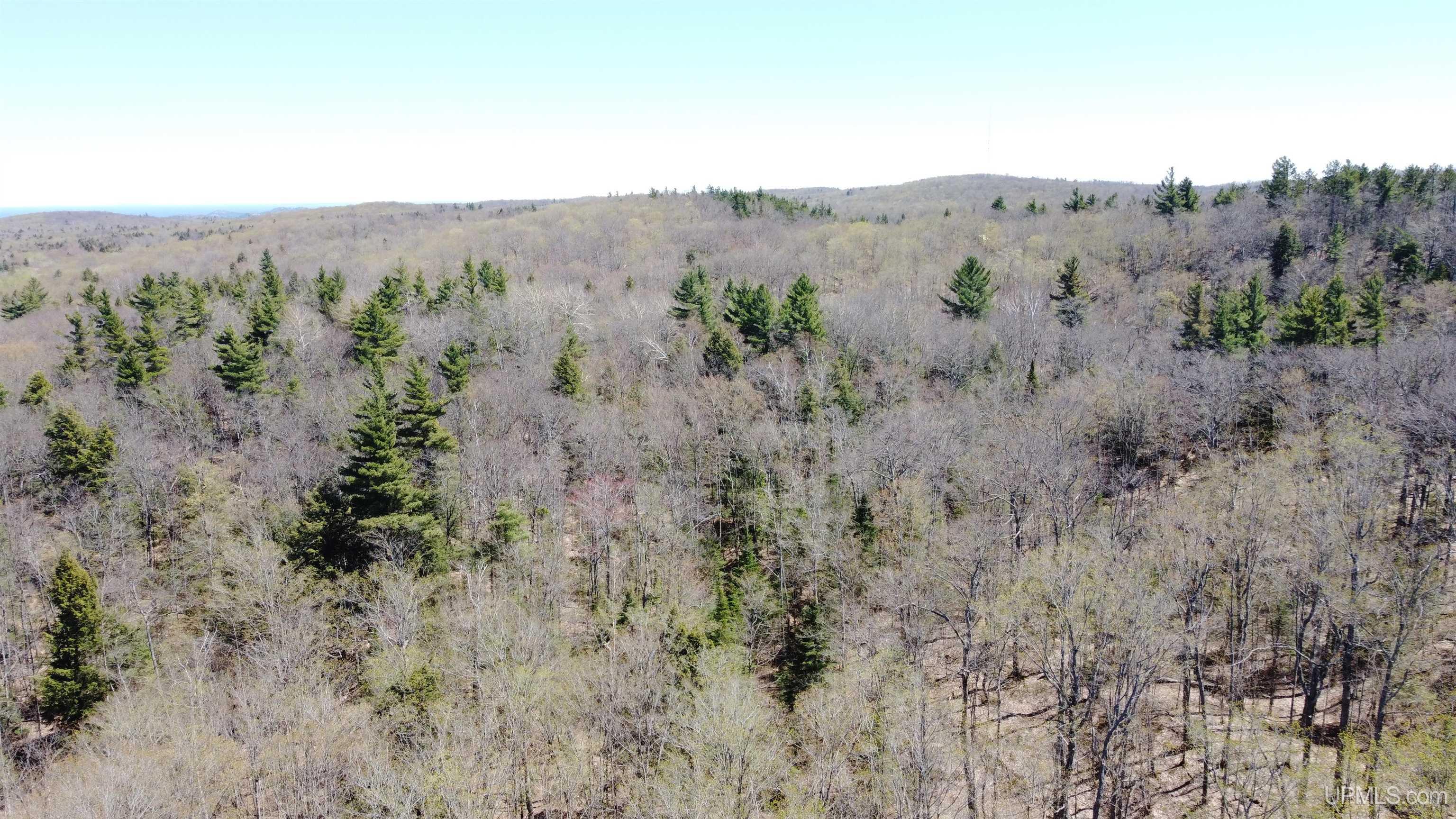510 Rd Ishpeming Mi 49849 Road Negaunee, MI 49866 - Photo 2 of 9