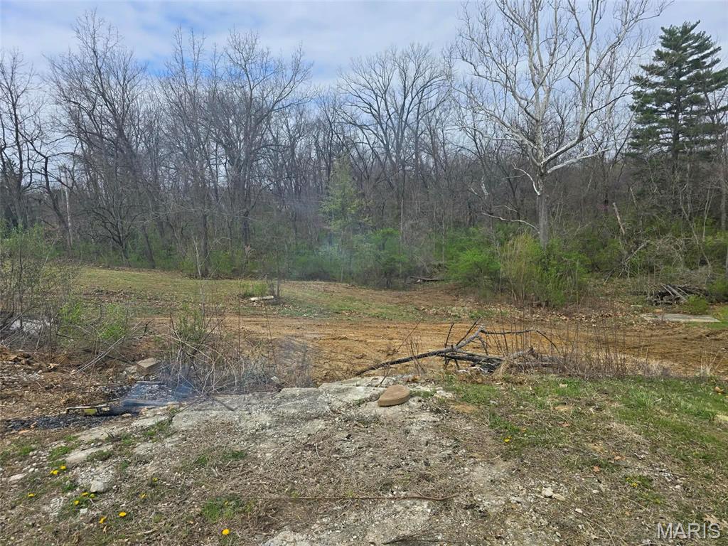 3943 Torch Club Road Alton, IL 62002 - Photo 12 of 13
