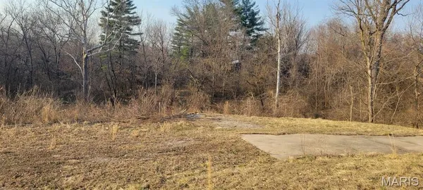 $35,000 | 3943 Torch Club Road, Alton, IL 62002