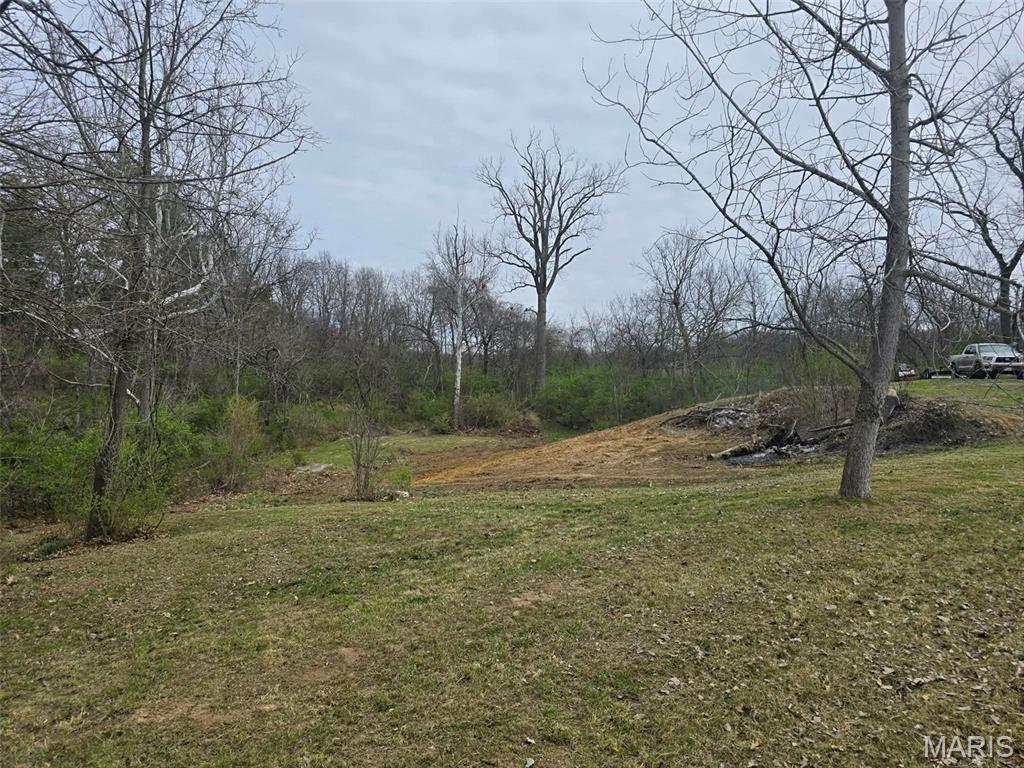 3943 Torch Club Road Alton, IL 62002 - Photo 3 of 13