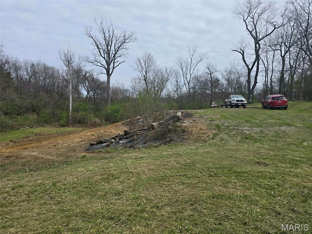 3943 Torch Club Road Alton, IL 62002 - Photo 4 of 13