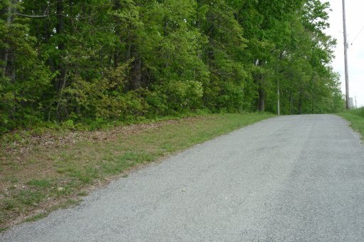 15.9-ac Fox Hunter Road Maynardville, TN 37807 - Photo 3 of 5 Street view lot to the left