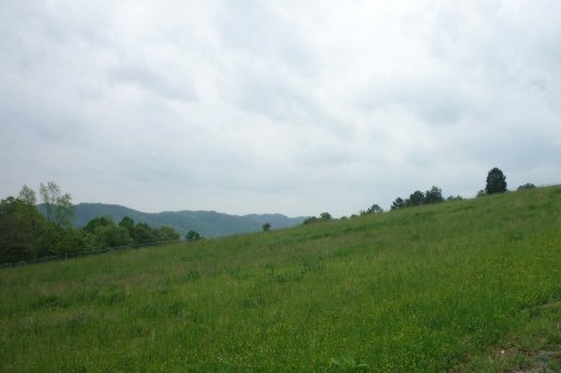 15.9-ac Fox Hunter Road Maynardville, TN 37807 - Photo 4 of 5 Mountain views from lot