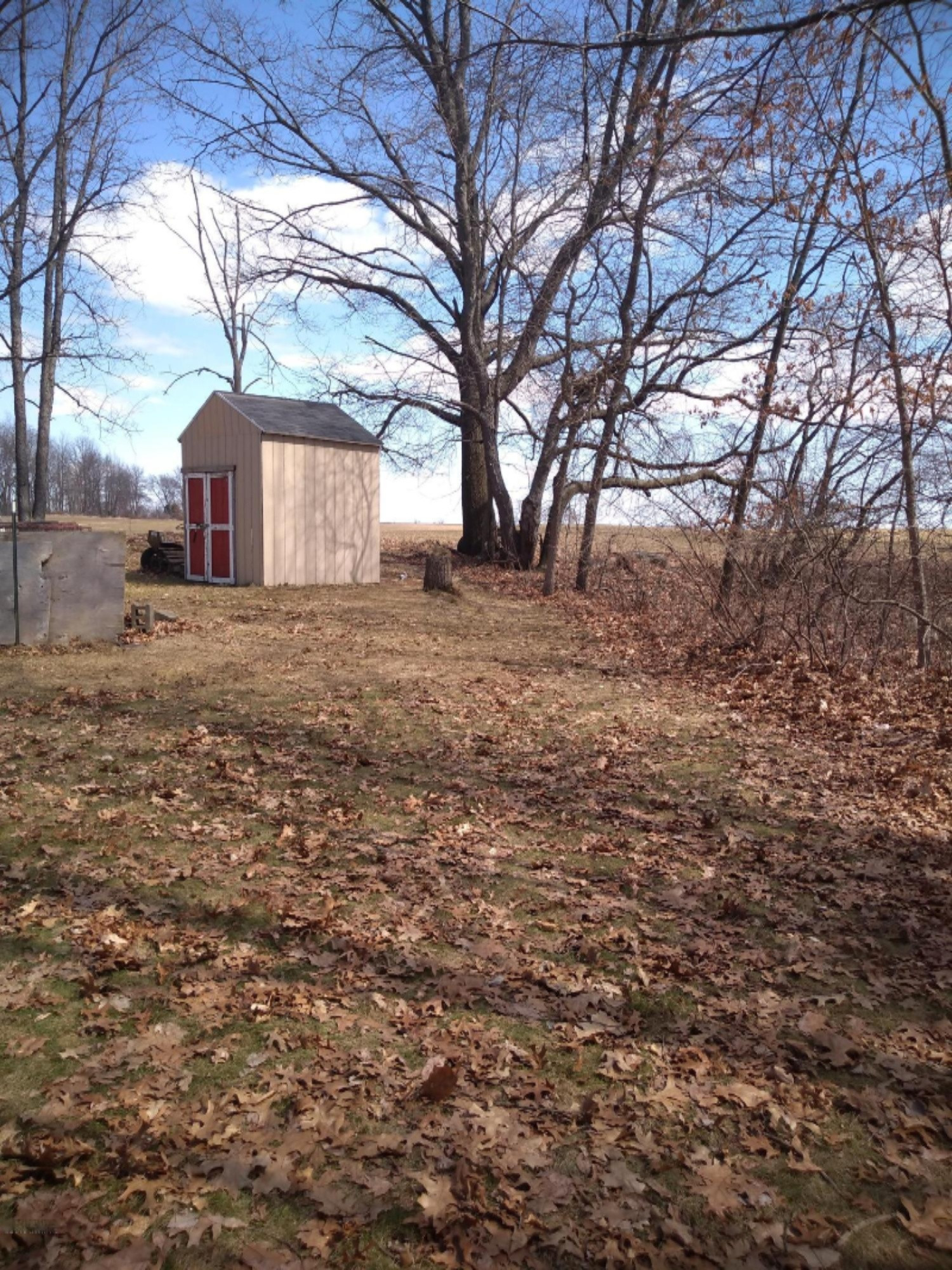1515 Vining Road Greenville, MI 48838 - Photo 2 of 9 IMG_20190403_143155465