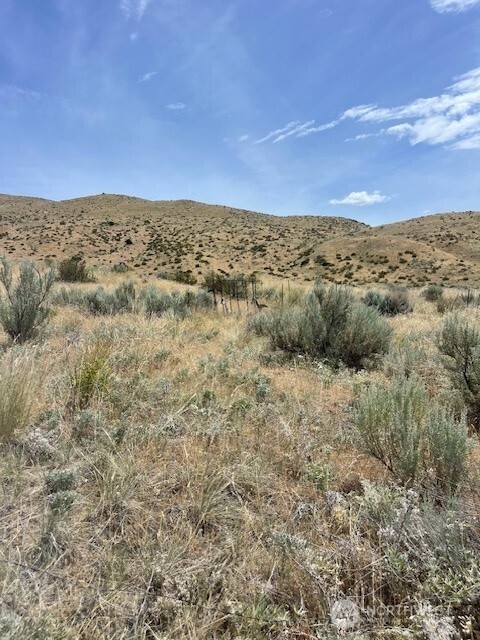 0 Lot 1 Bill Shaw Road Pateros, WA 98846 - Photo 16 of 23