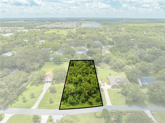 swimming view from window