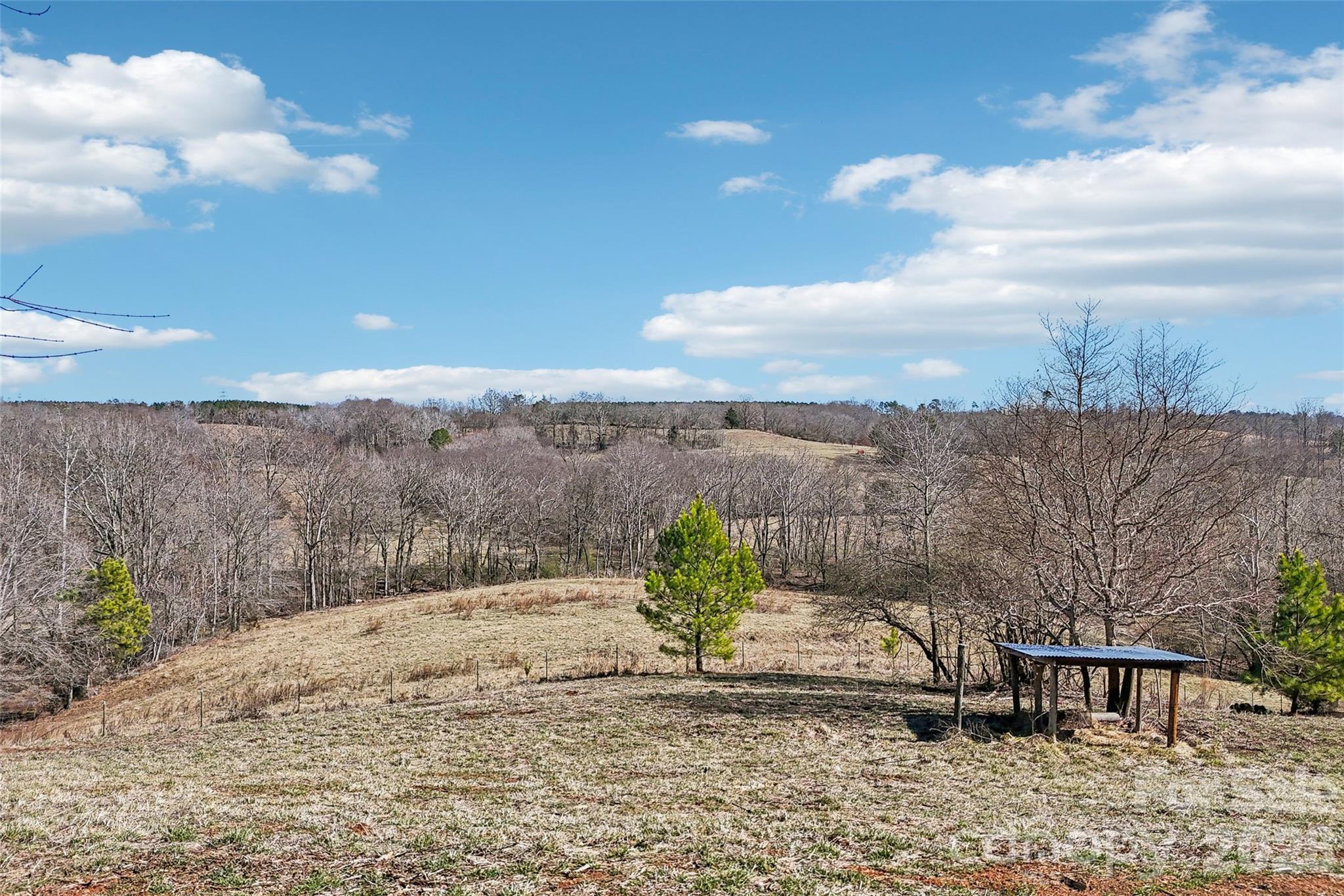 2034 New Prospect Church Road Shelby, NC 28150 - Photo 39 of 48 a view of a dry yard with wooden fence
