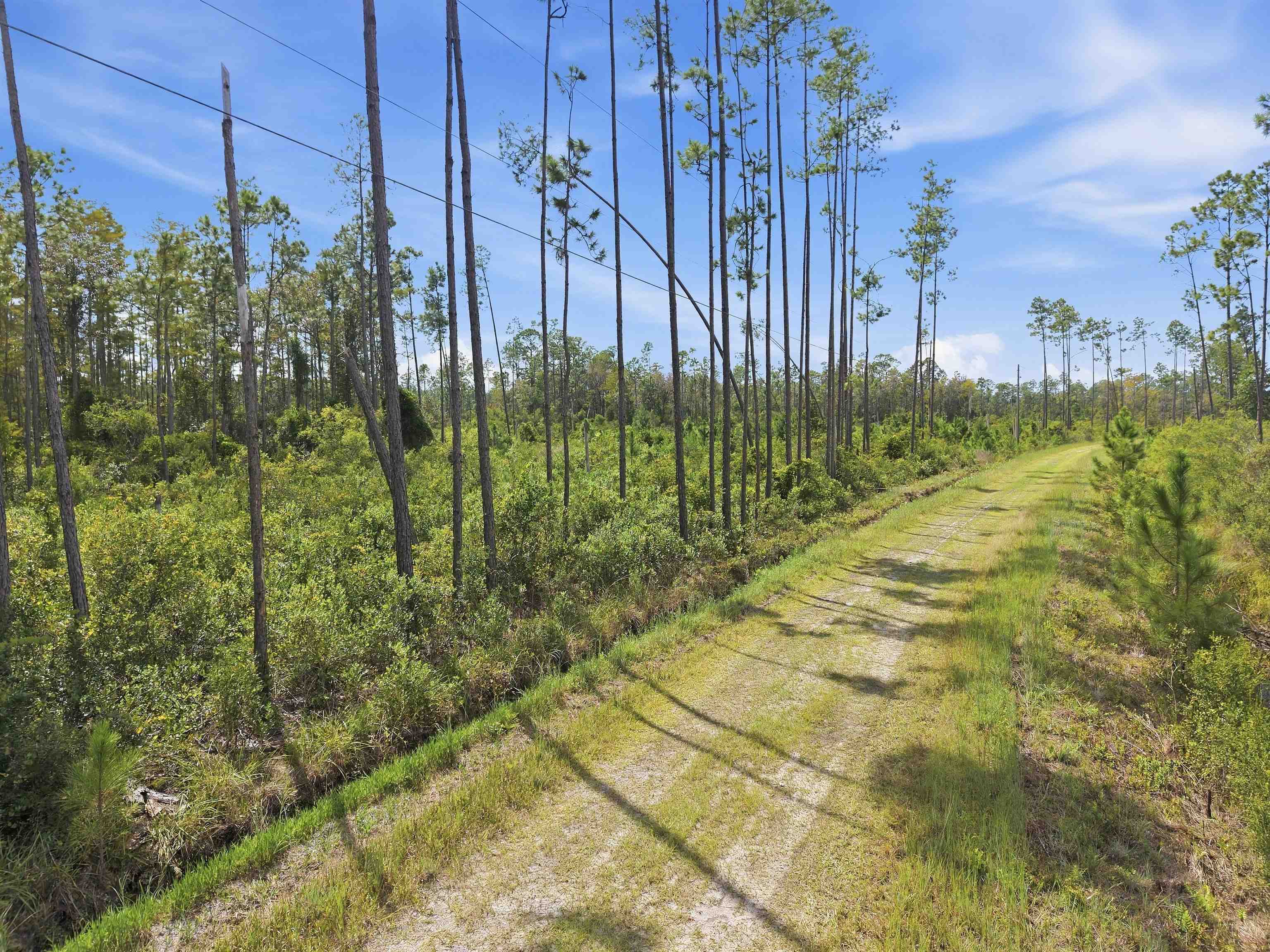 76 Circle Block Loop Perry, FL 32347 - Photo 1 of 21 Gallery Image 1