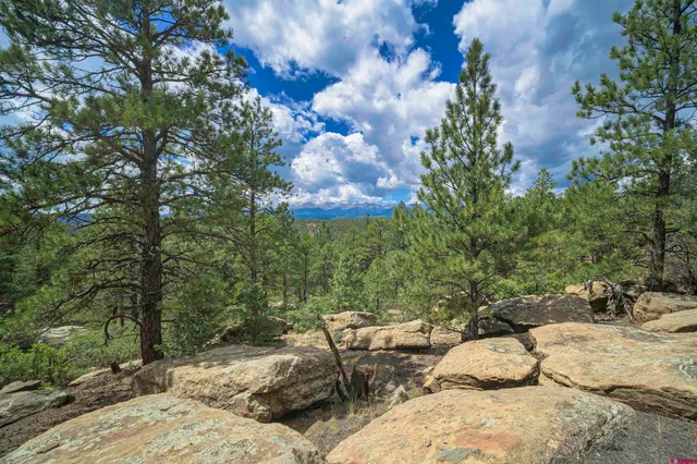 a view of a backyard of the house