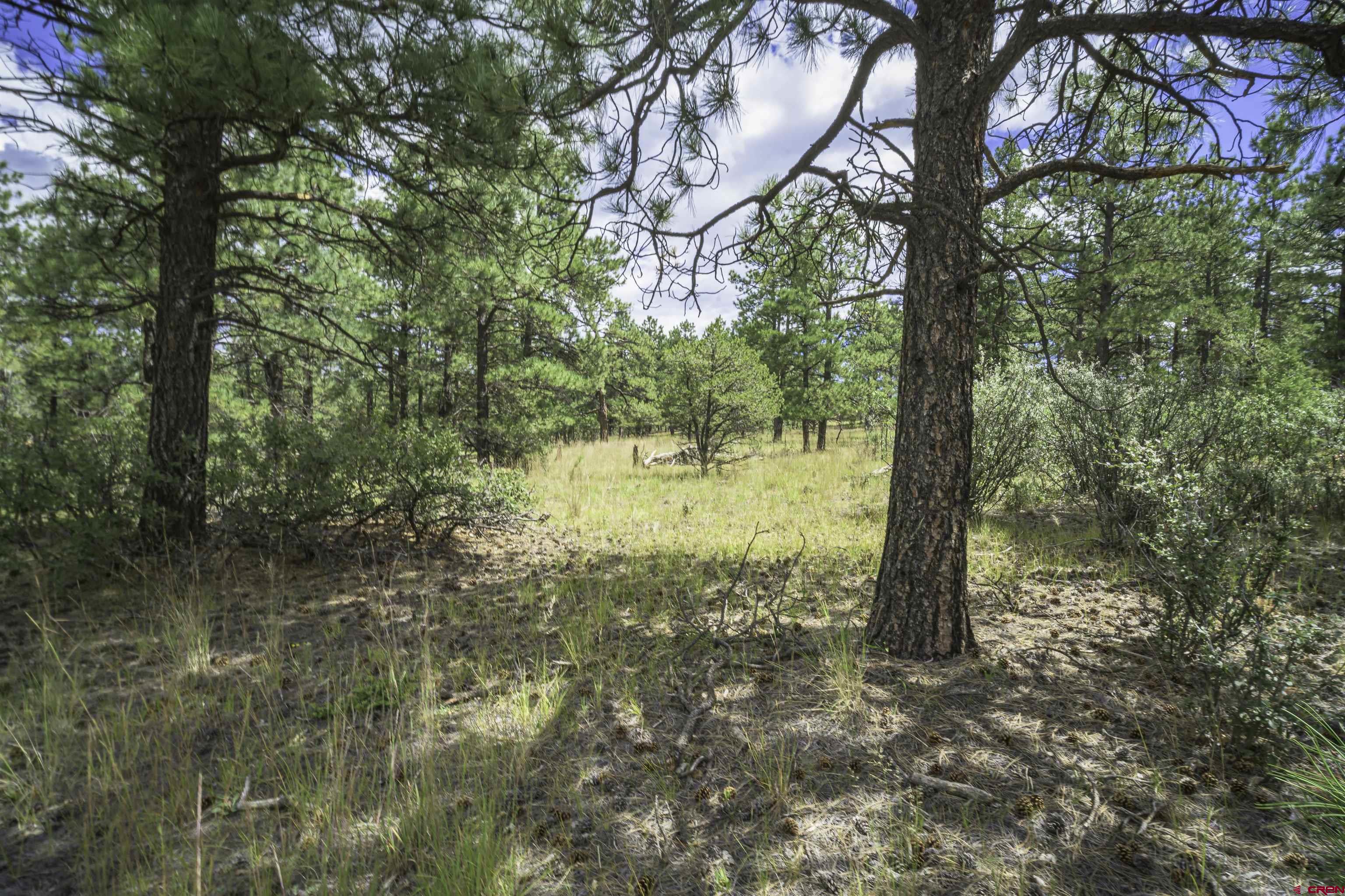 Tbd Tbd Rancho Escondido Weston, CO 81091 - Photo 11 of 44