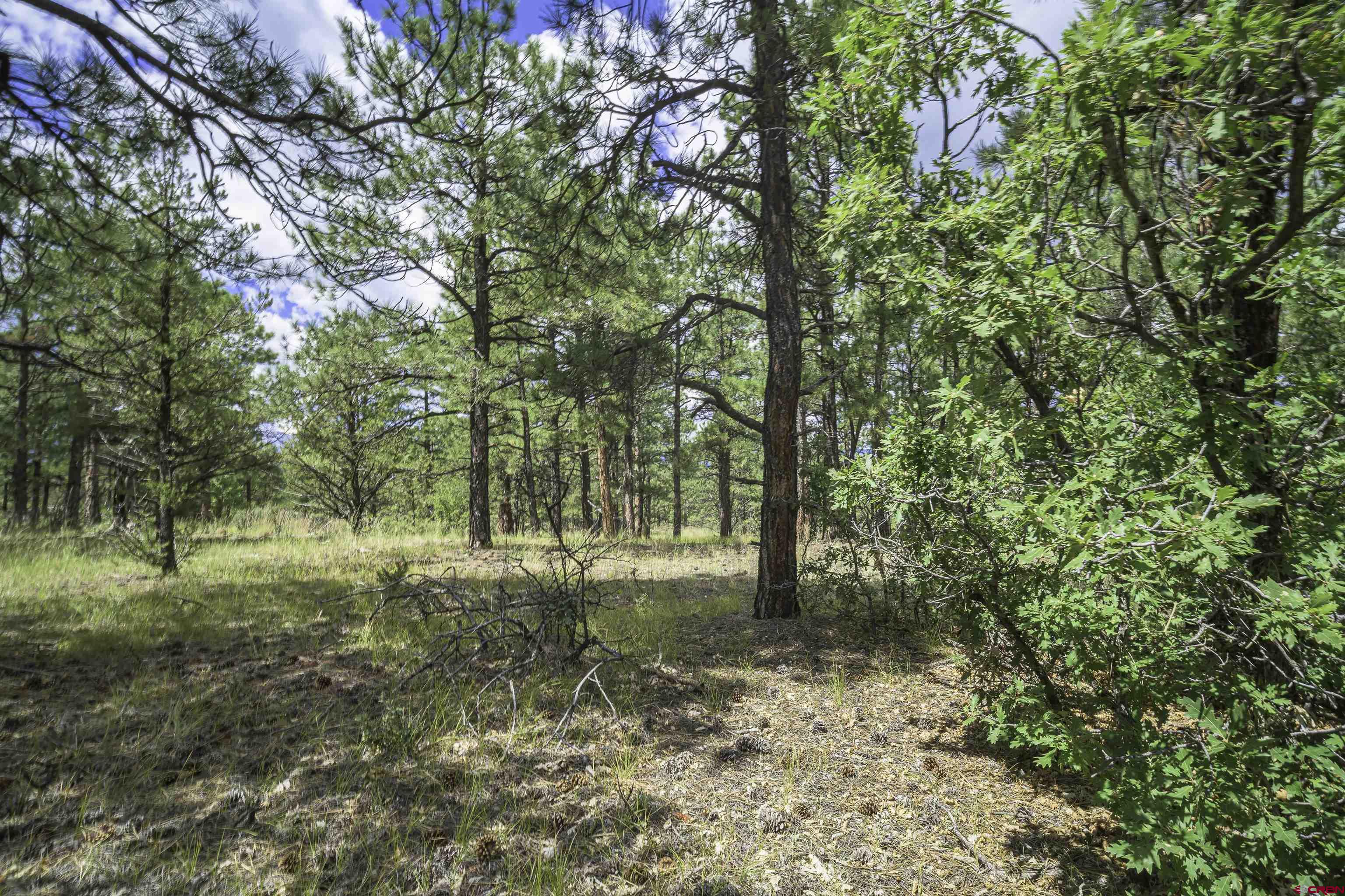 Tbd Tbd Rancho Escondido Weston, CO 81091 - Photo 14 of 44