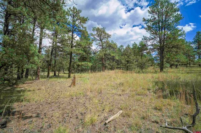 a view of backyard with green space