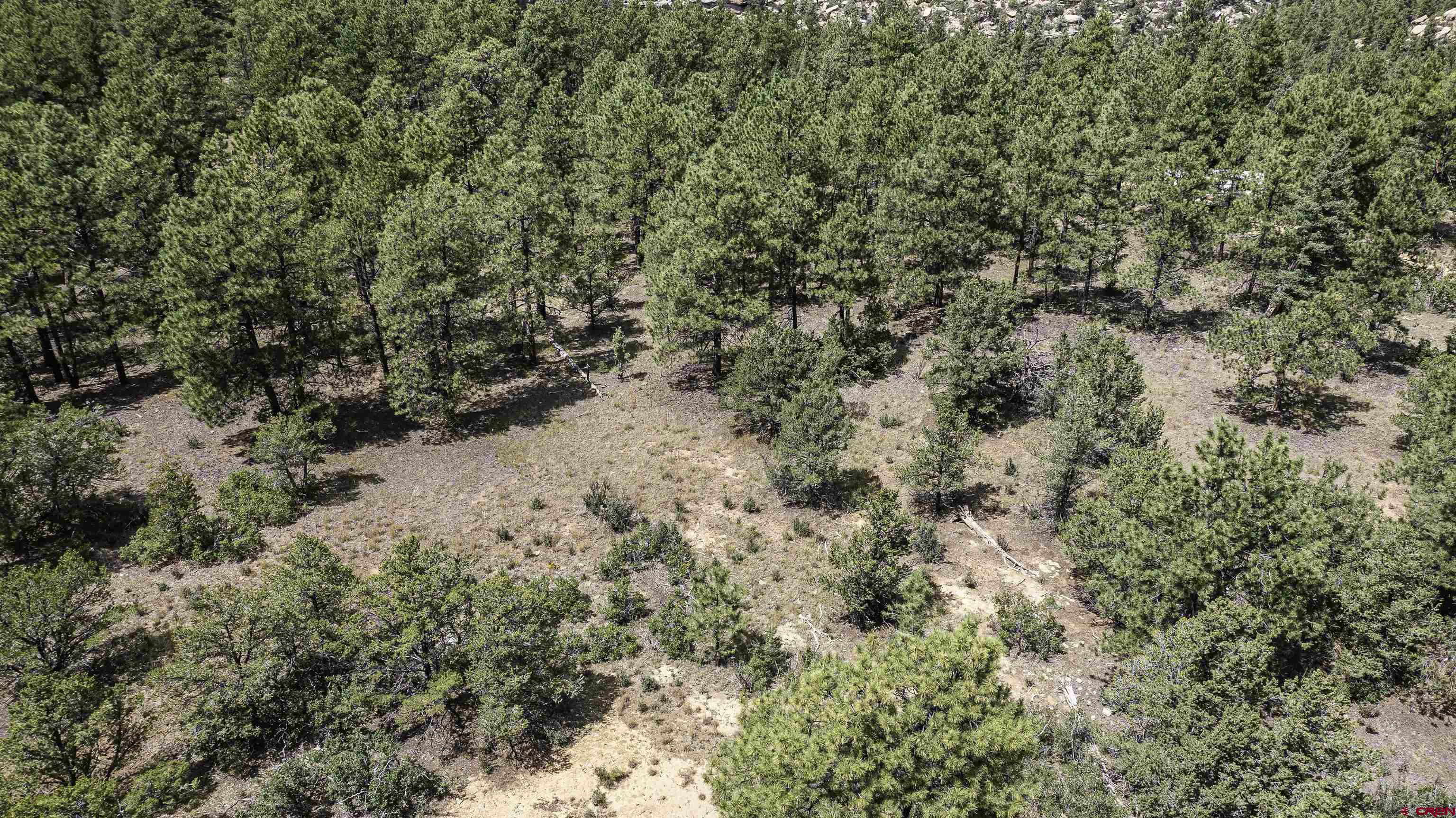 Tbd Tbd Rancho Escondido Weston, CO 81091 - Photo 18 of 44