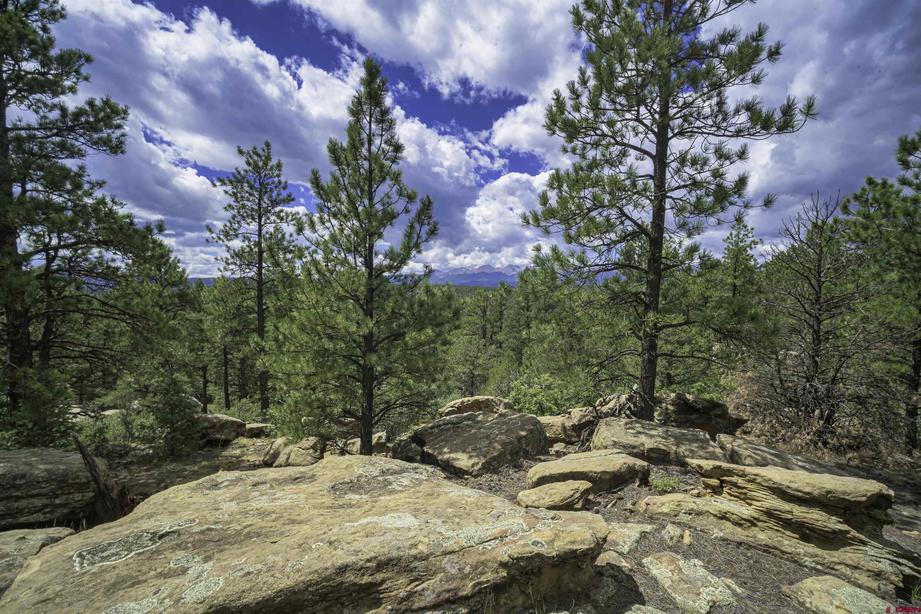 Tbd Tbd Rancho Escondido Weston, CO 81091 - Photo 20 of 44