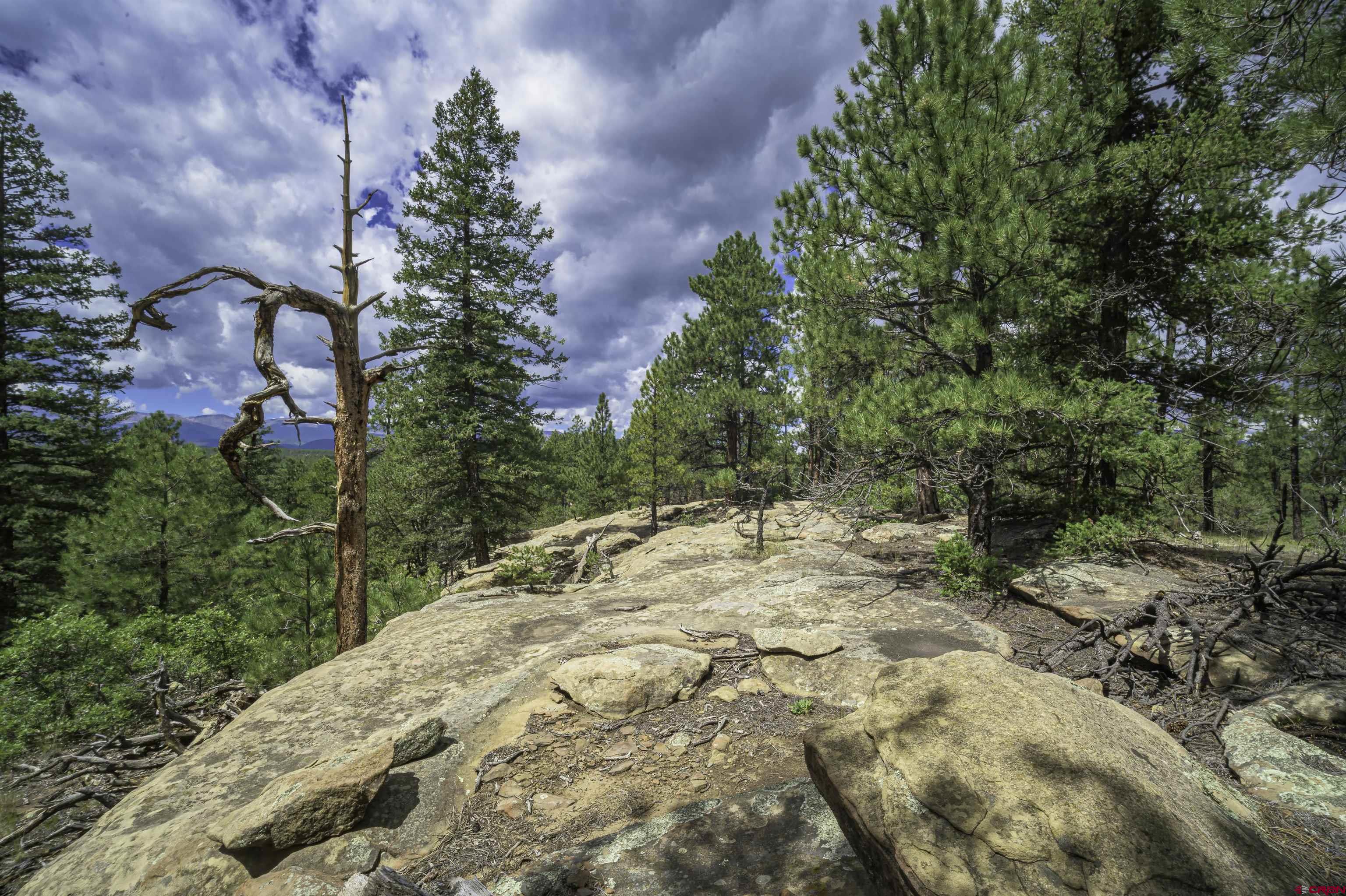 Tbd Tbd Rancho Escondido Weston, CO 81091 - Photo 22 of 44