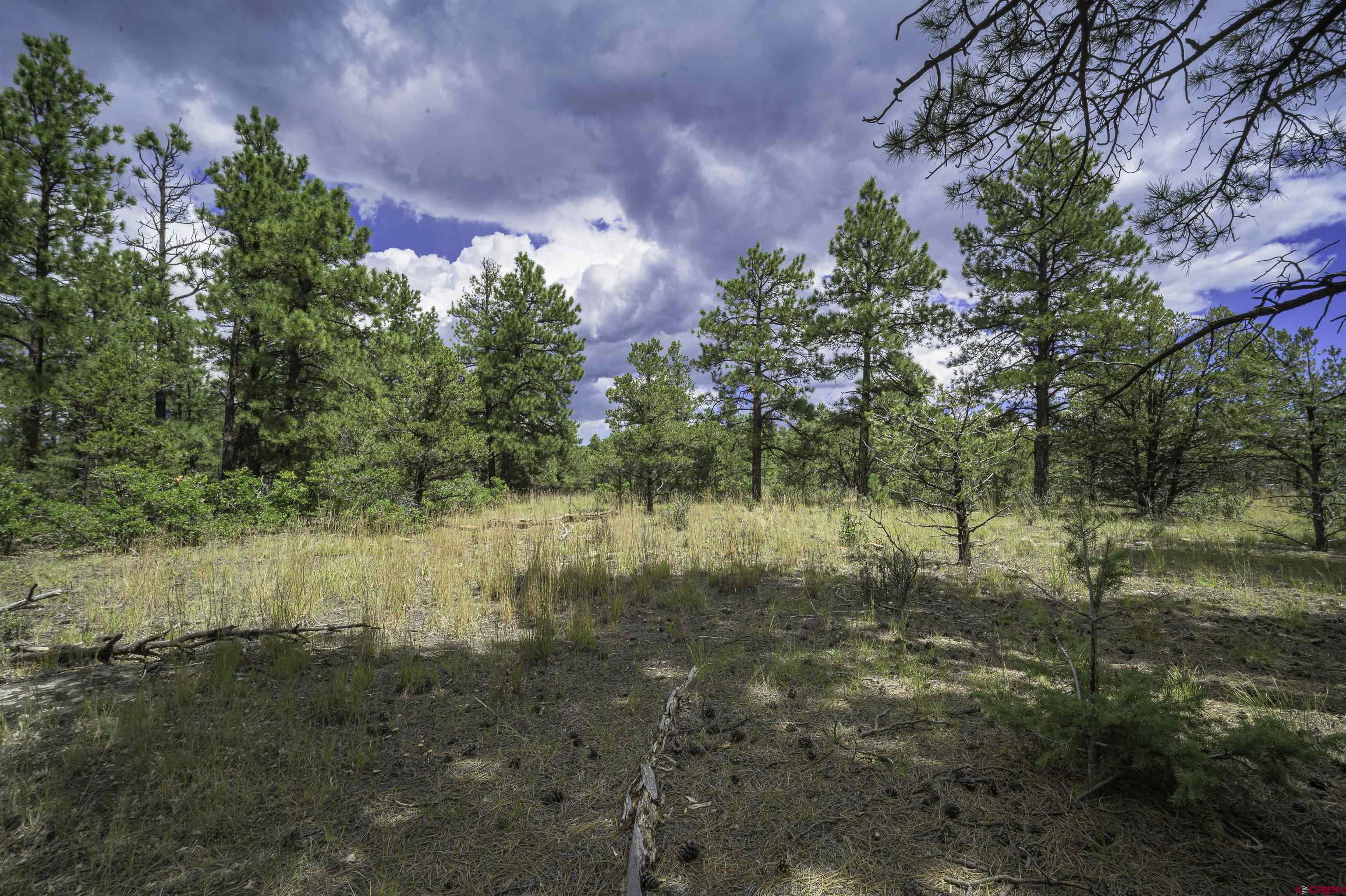 Tbd Tbd Rancho Escondido Weston, CO 81091 - Photo 23 of 44