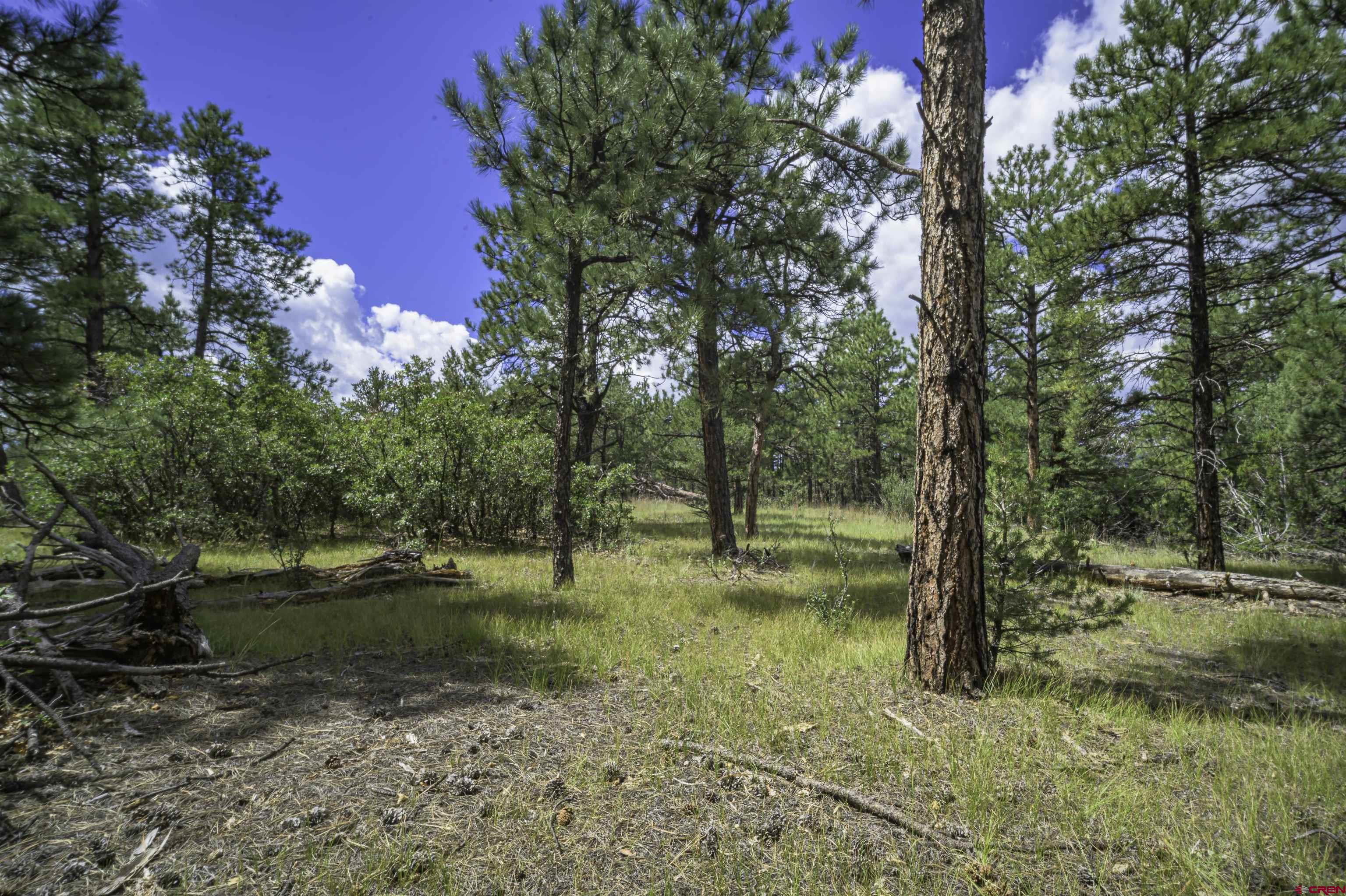 Tbd Tbd Rancho Escondido Weston, CO 81091 - Photo 24 of 44