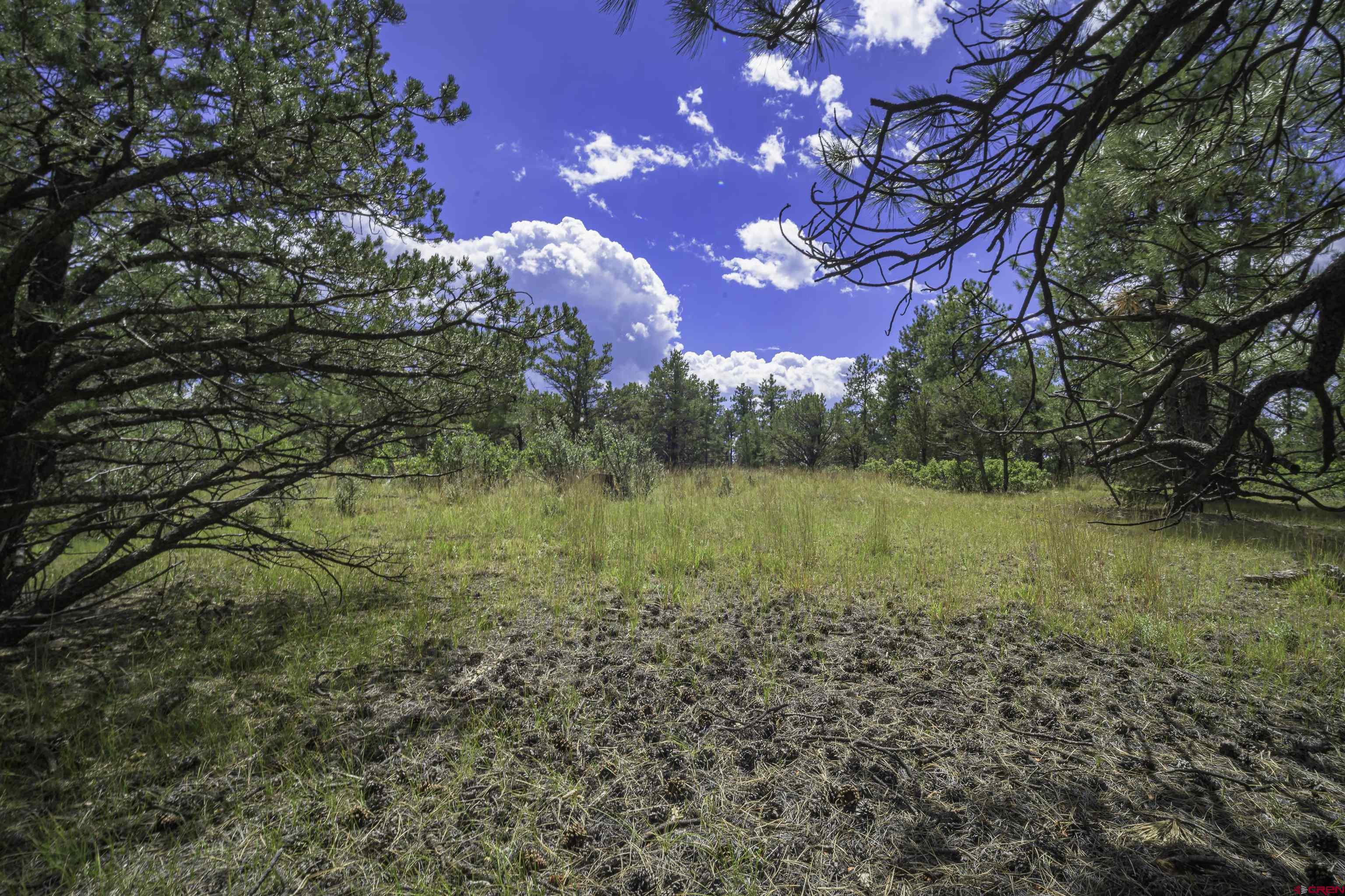 Tbd Tbd Rancho Escondido Weston, CO 81091 - Photo 25 of 44