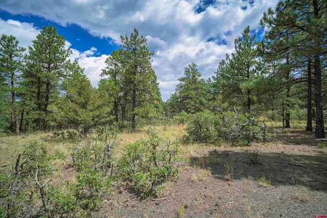 a view of a kitchen with car parked