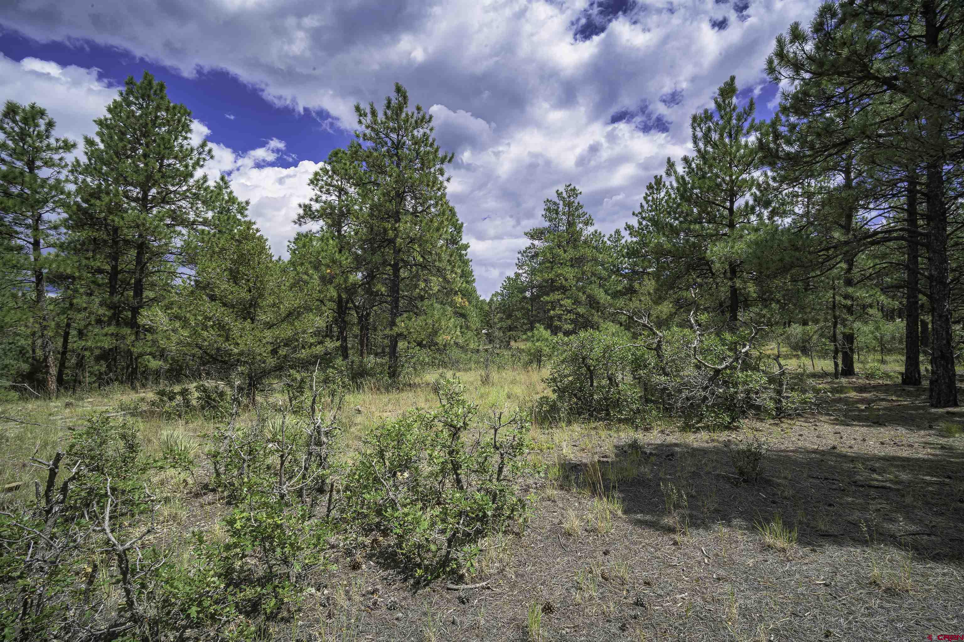 Tbd Tbd Rancho Escondido Weston, CO 81091 - Photo 26 of 44