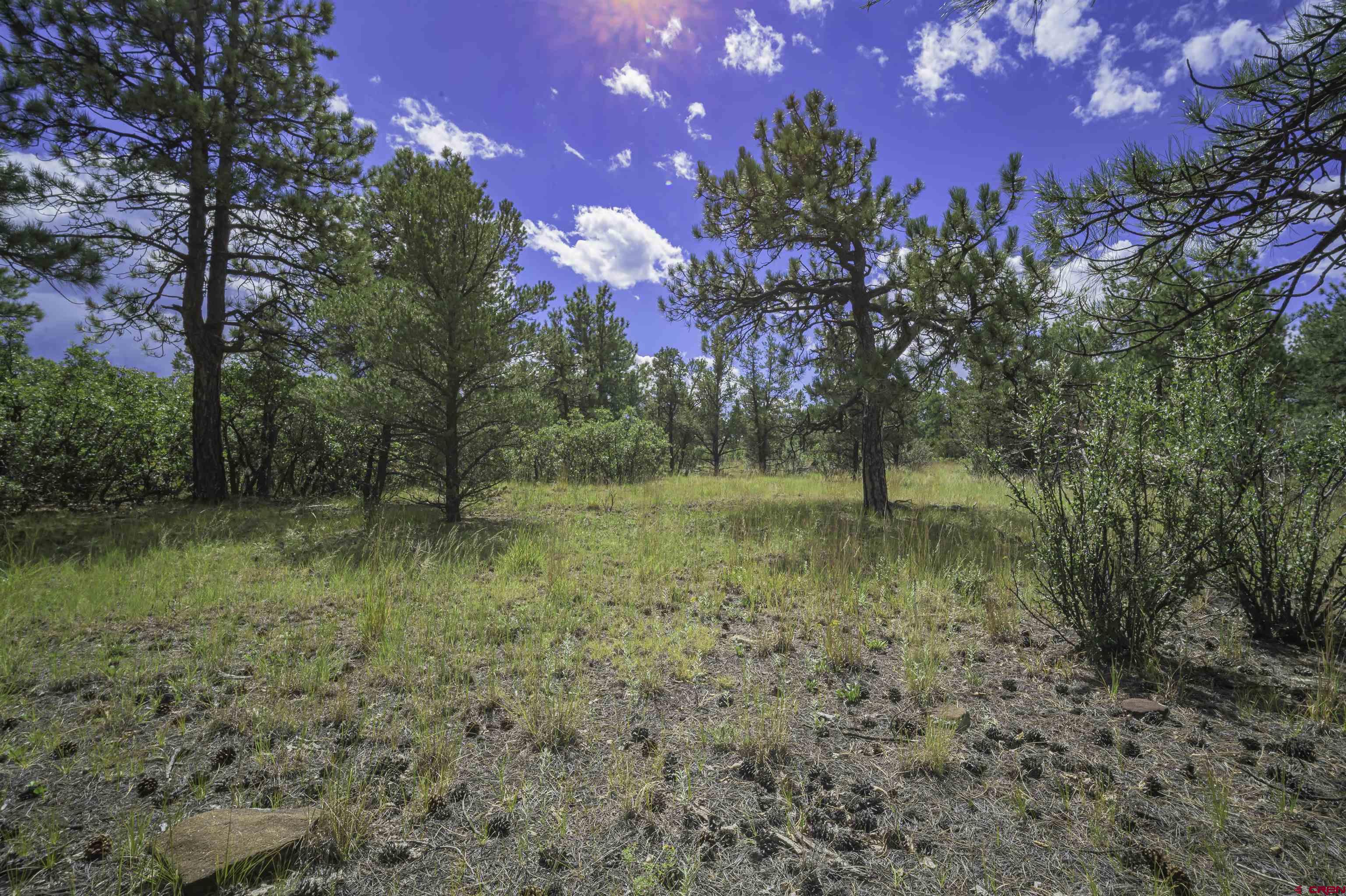 Tbd Tbd Rancho Escondido Weston, CO 81091 - Photo 27 of 44