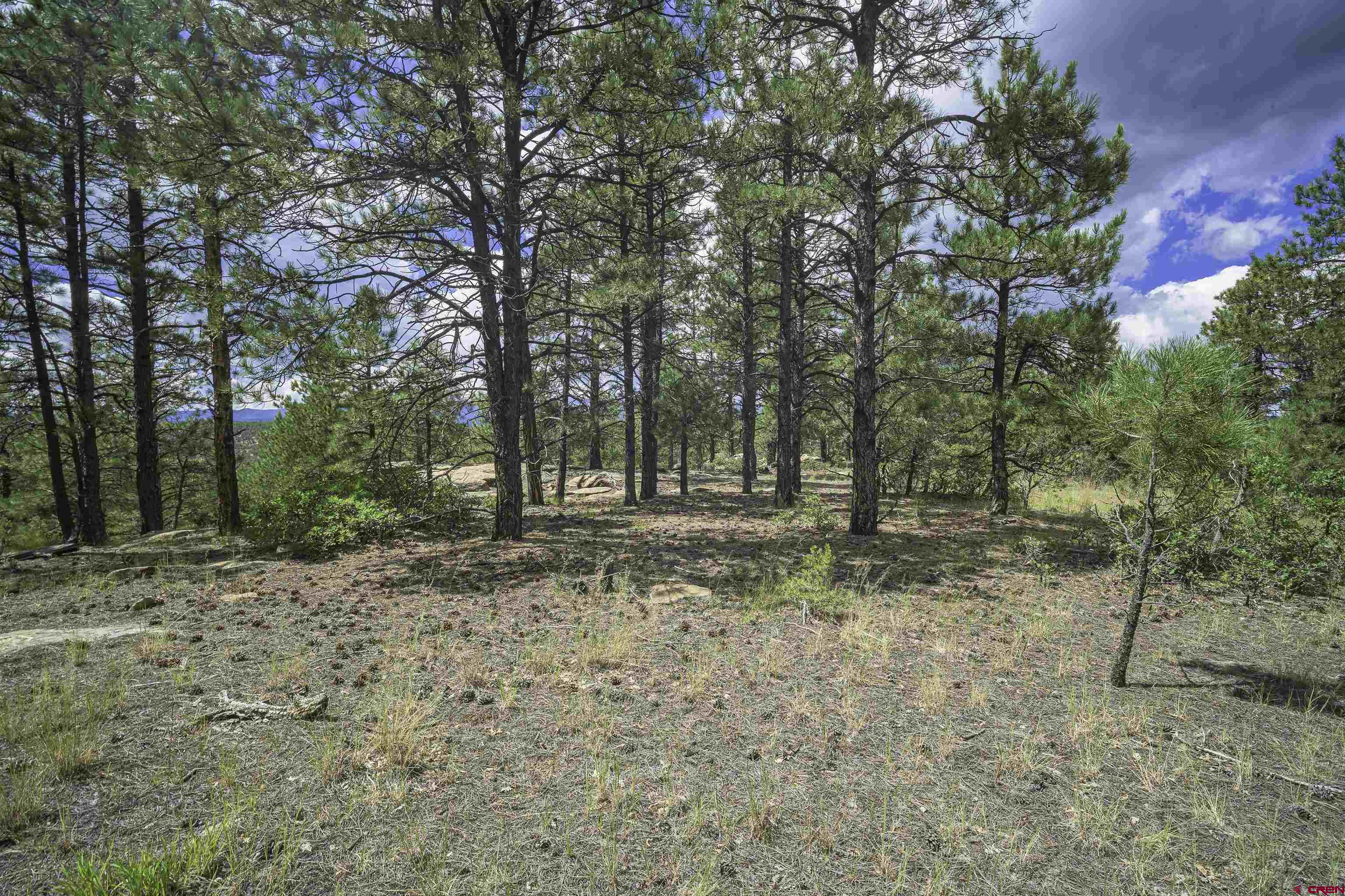 Tbd Tbd Rancho Escondido Weston, CO 81091 - Photo 3 of 44