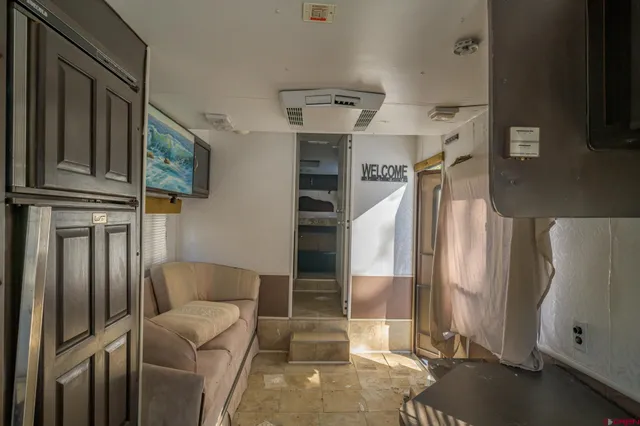 a view of a large trees with lots of trees