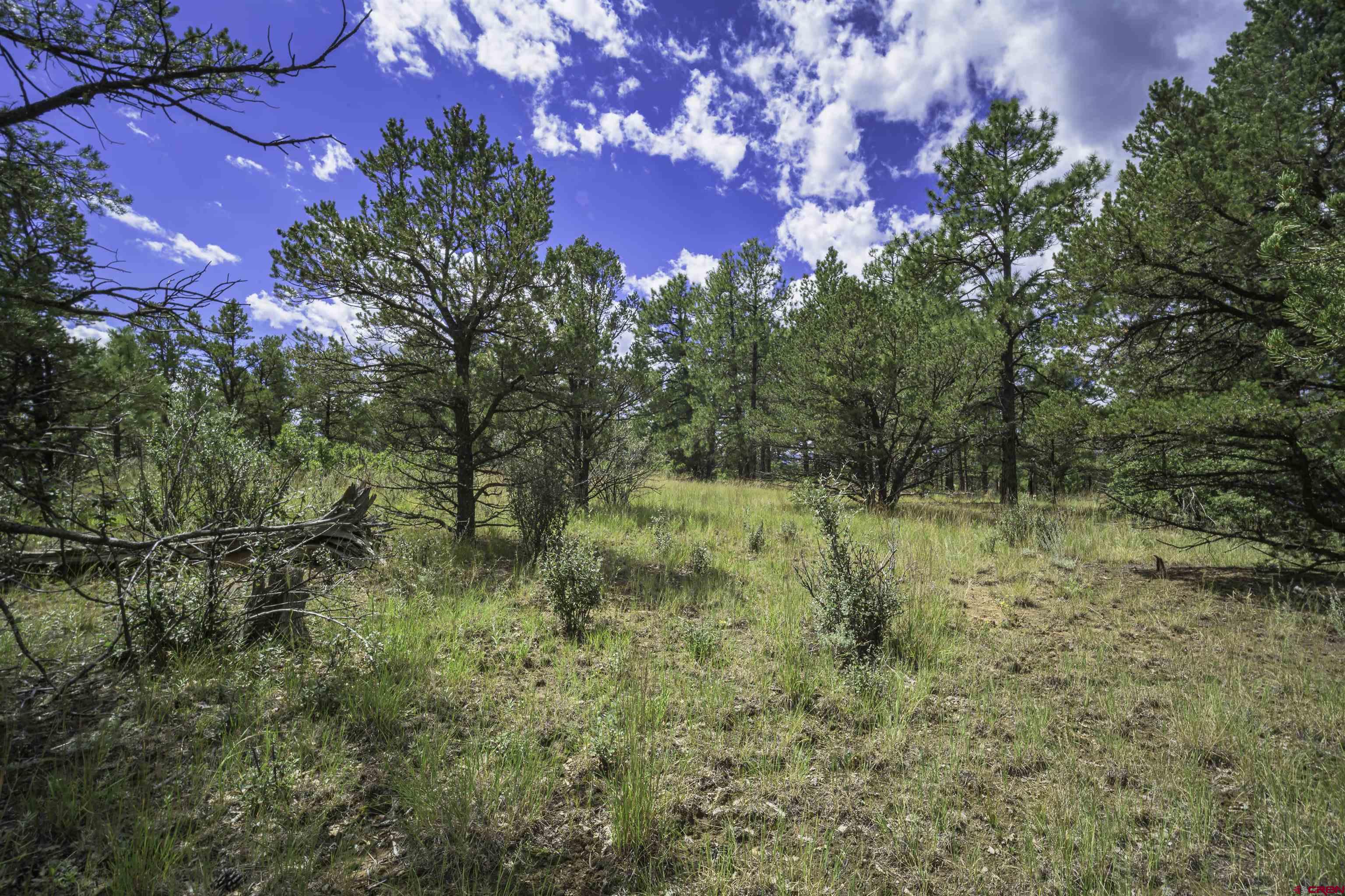 Tbd Tbd Rancho Escondido Weston, CO 81091 - Photo 34 of 44