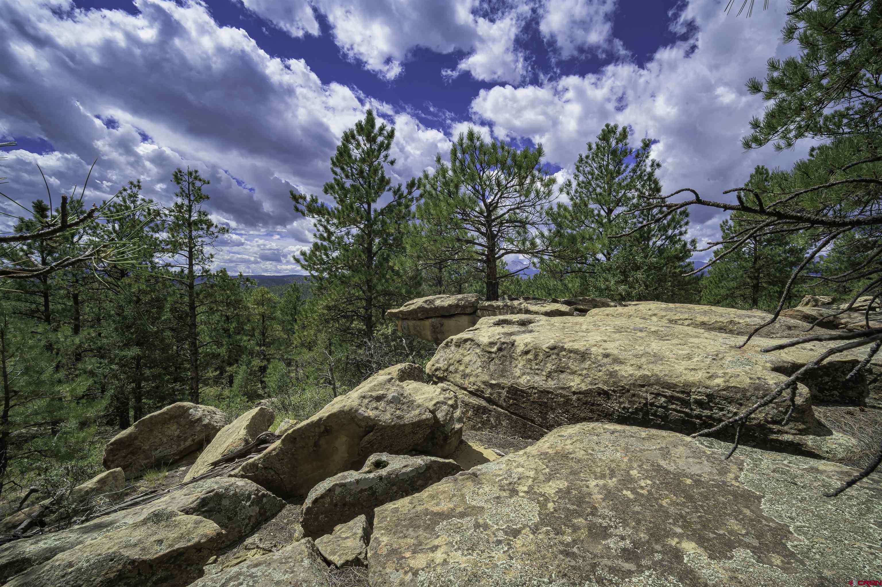 Tbd Tbd Rancho Escondido Weston, CO 81091 - Photo 37 of 44