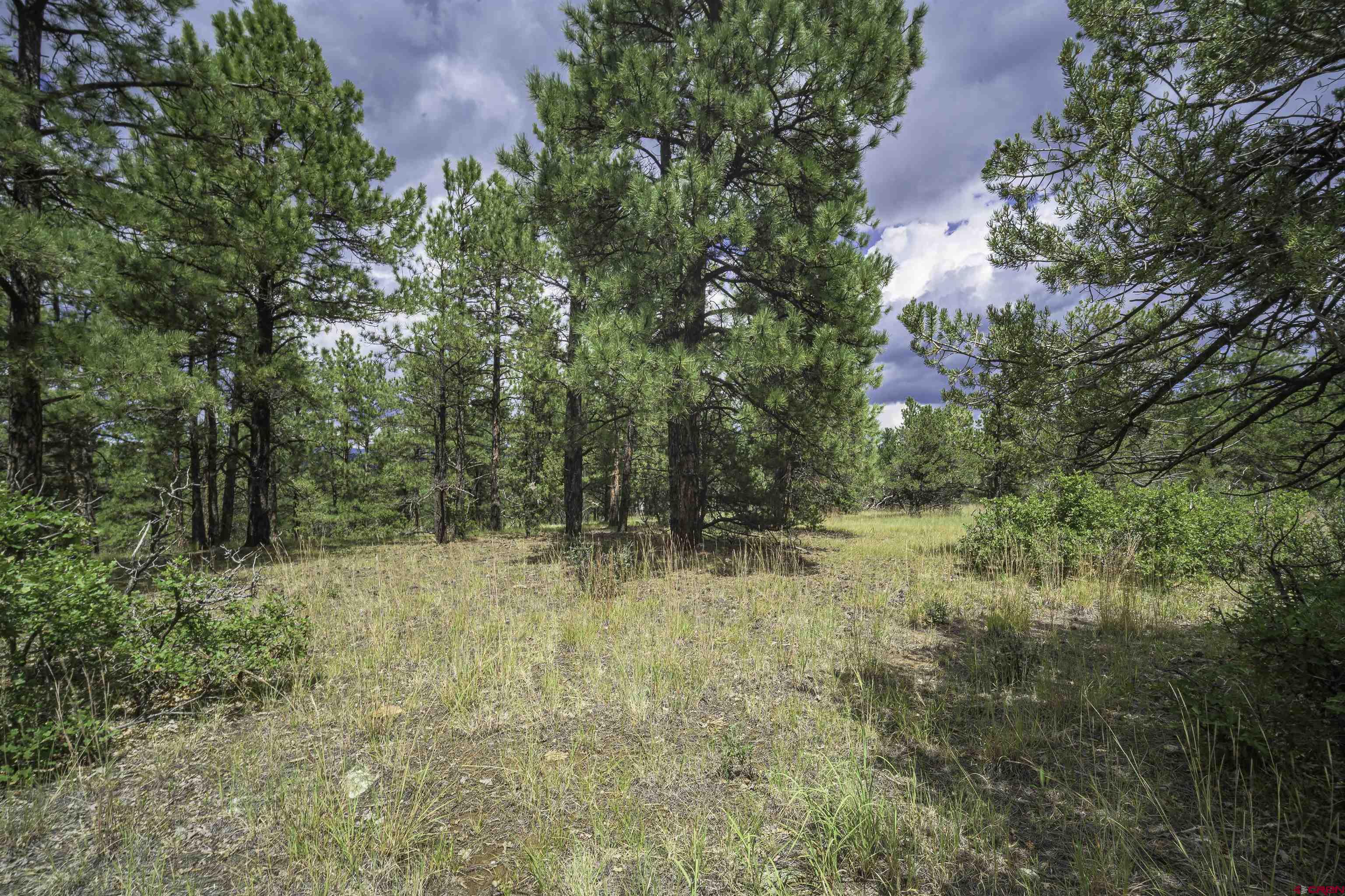 Tbd Tbd Rancho Escondido Weston, CO 81091 - Photo 38 of 44