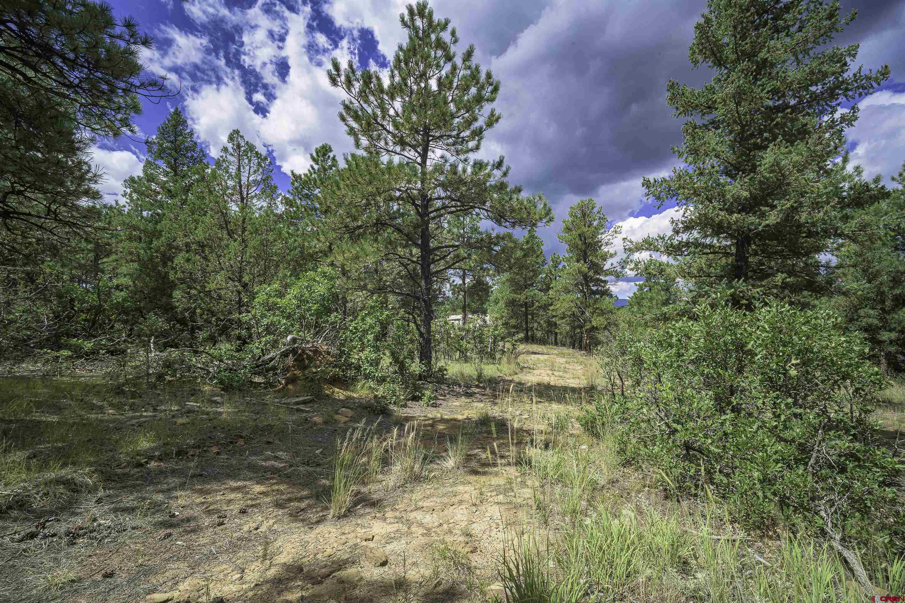 Tbd Tbd Rancho Escondido Weston, CO 81091 - Photo 40 of 44