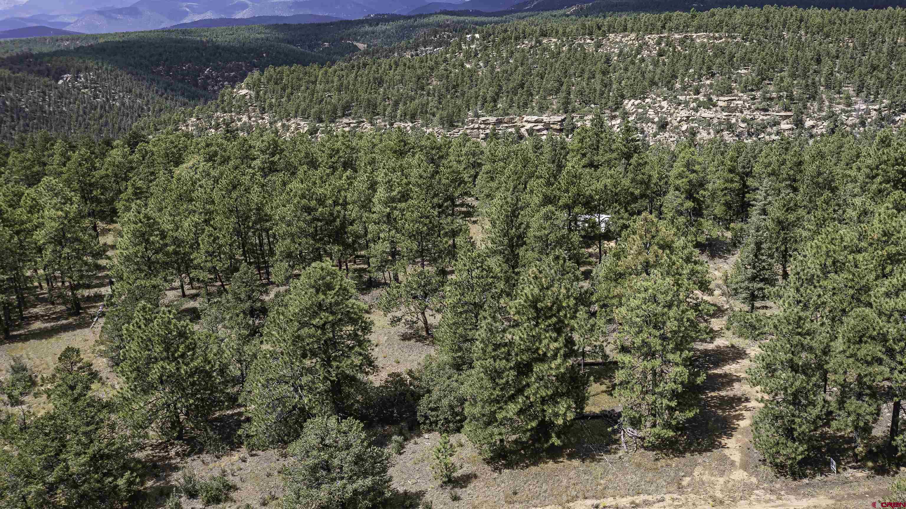 Tbd Tbd Rancho Escondido Weston, CO 81091 - Photo 4 of 44