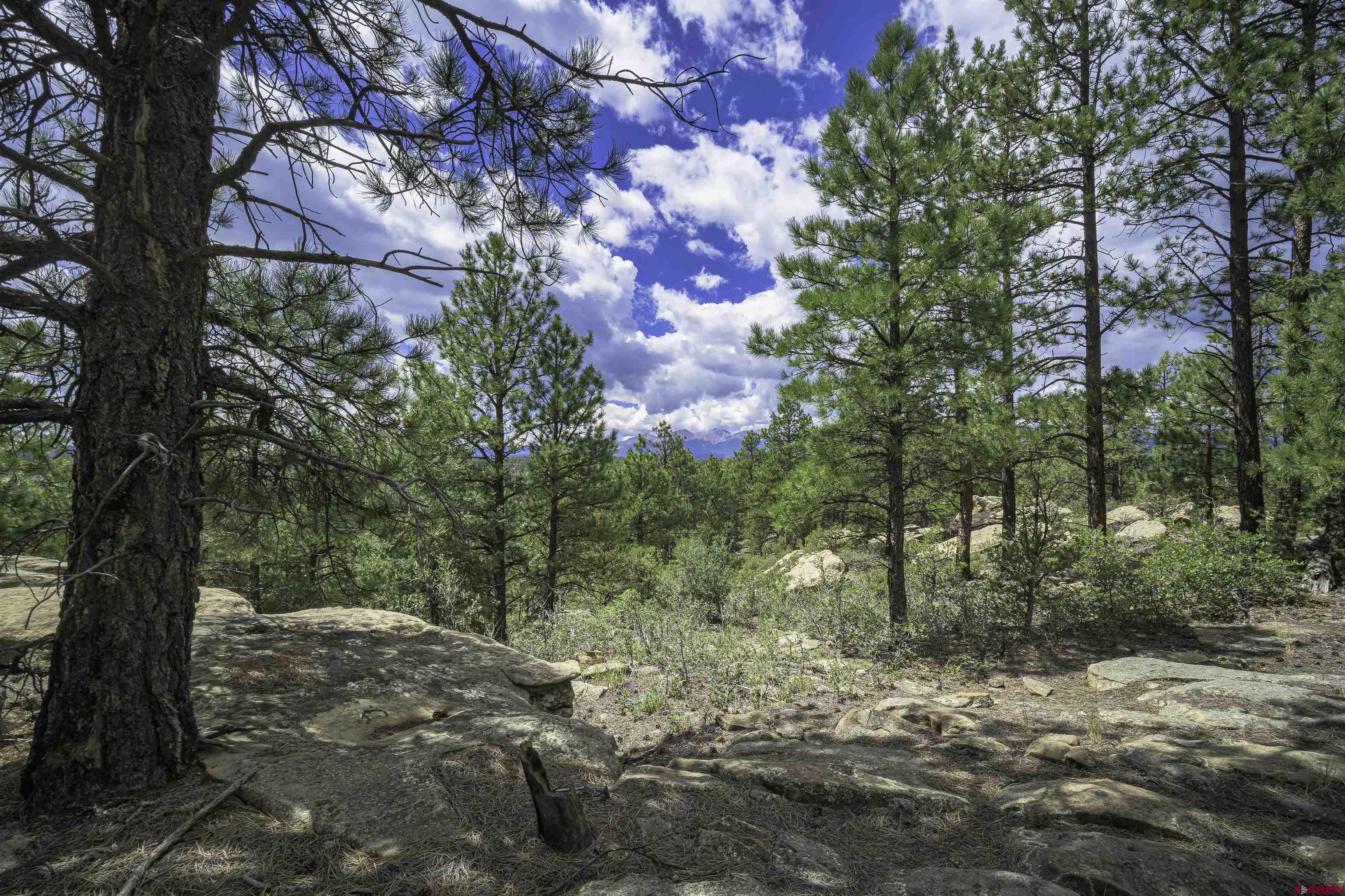 Tbd Tbd Rancho Escondido Weston, CO 81091 - Photo 41 of 44