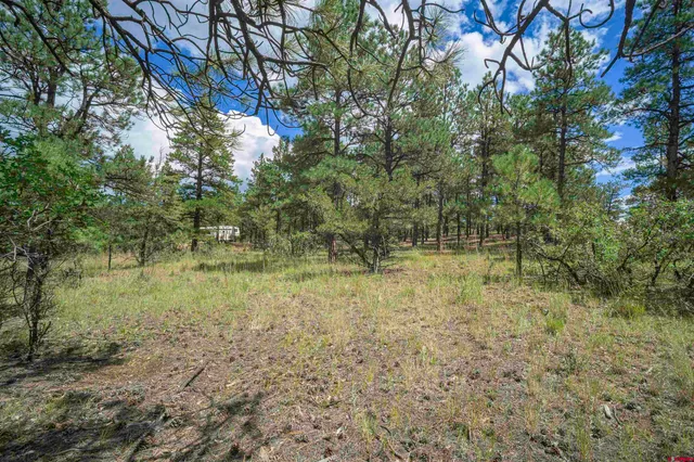 $109,500 | Tbd Tbd Rancho Escondido, Weston, CO 81091