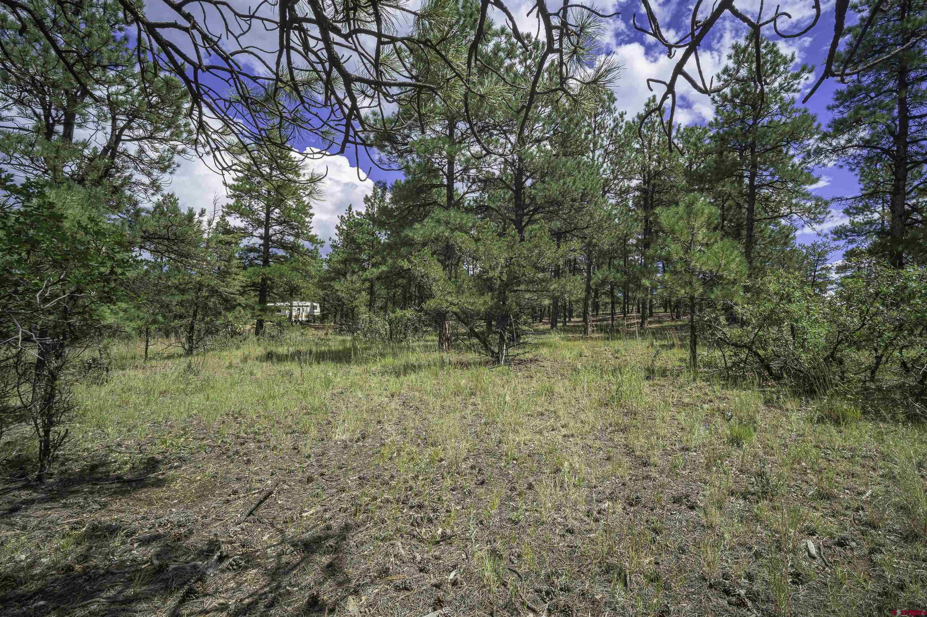 Tbd Tbd Rancho Escondido Weston, CO 81091 - Photo 43 of 44