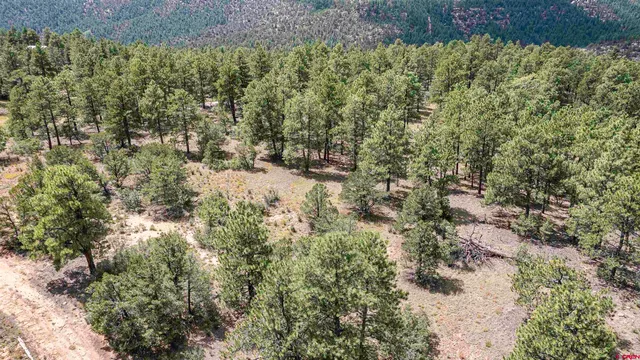 $109,500 | Tbd Tbd Rancho Escondido, Weston, CO 81091