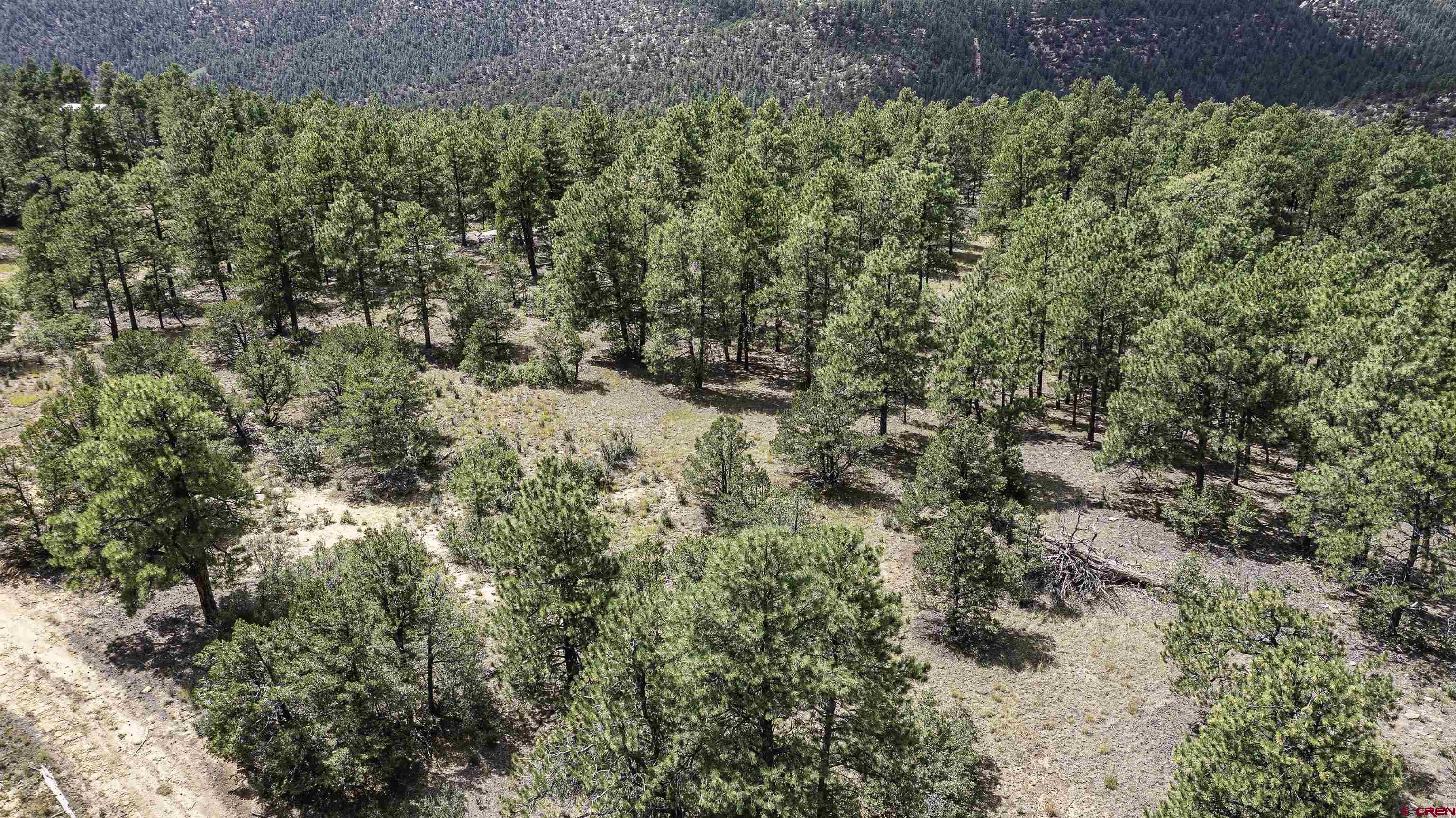 Tbd Tbd Rancho Escondido Weston, CO 81091 - Photo 44 of 44