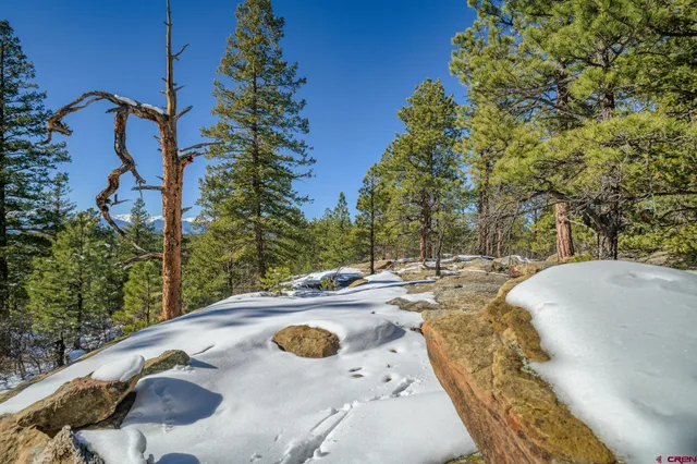 a view of a backyard with table and chairs