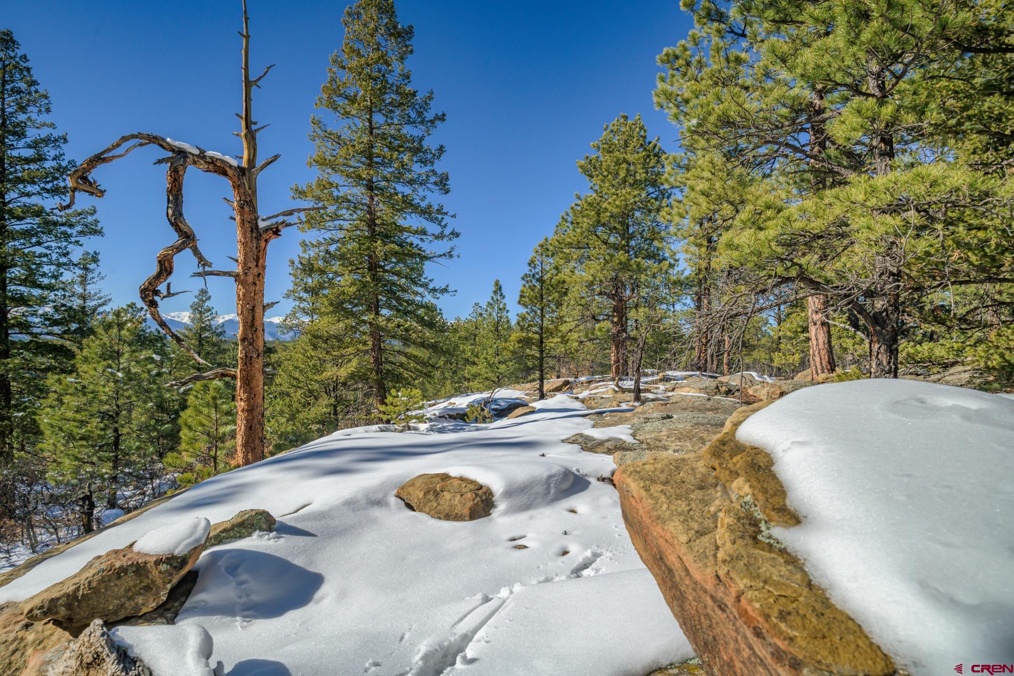 Tbd Tbd Rancho Escondido Weston, CO 81091 - Photo 5 of 44