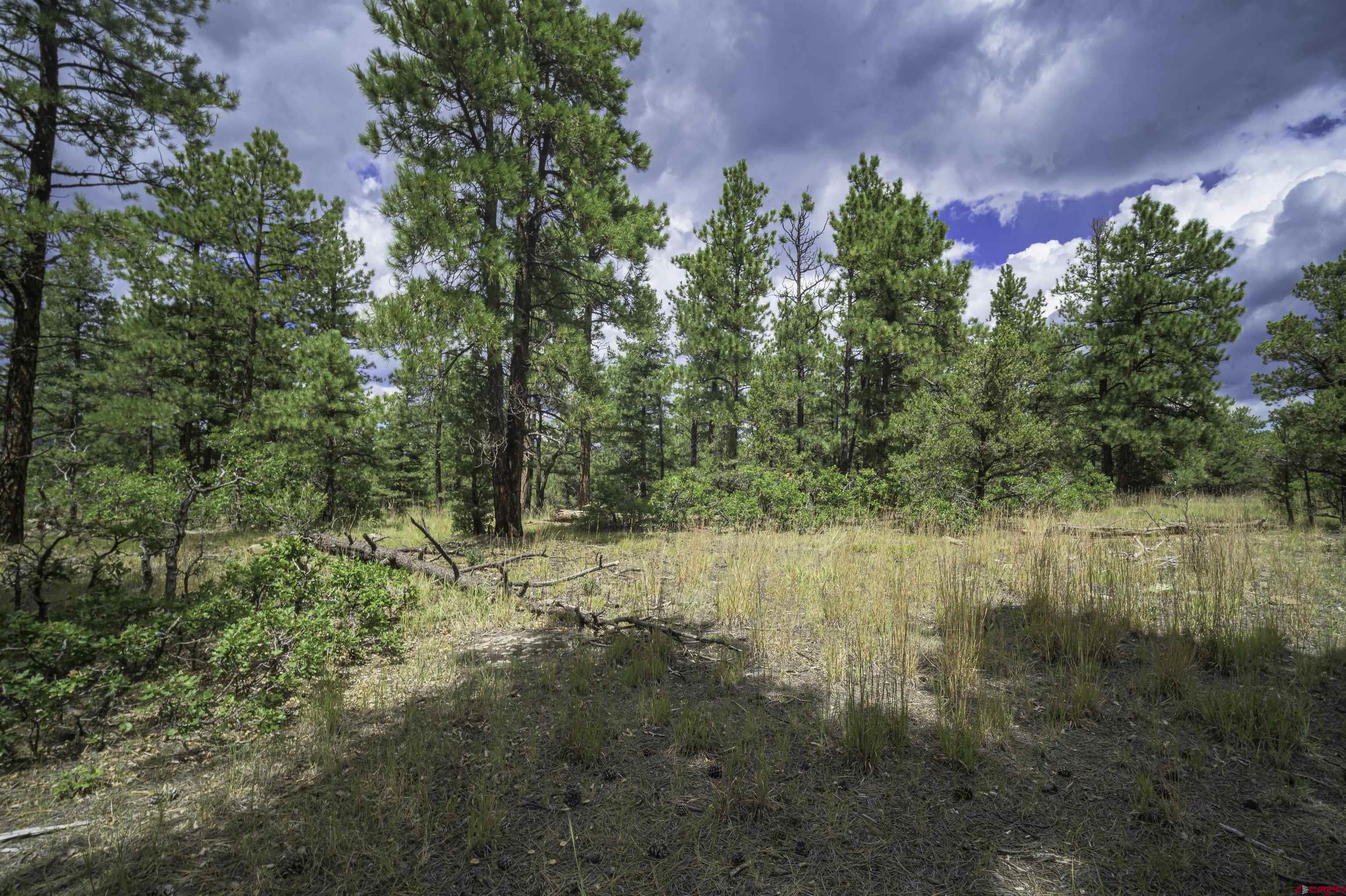 Tbd Tbd Rancho Escondido Weston, CO 81091 - Photo 6 of 44