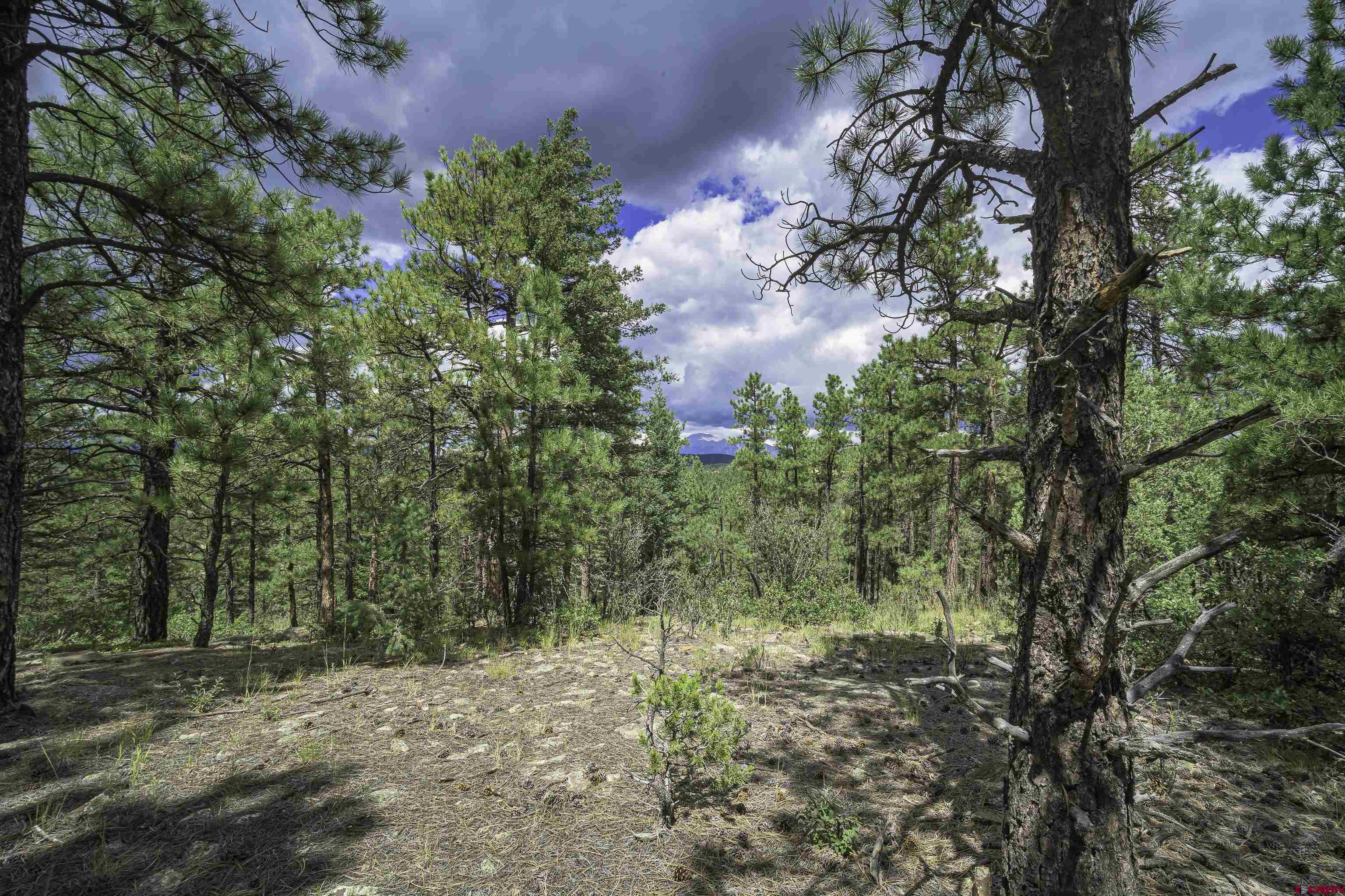 Tbd Tbd Rancho Escondido Weston, CO 81091 - Photo 7 of 44