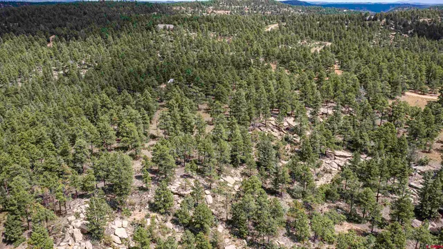 an aerial view of residential house with outdoor space and trees all around