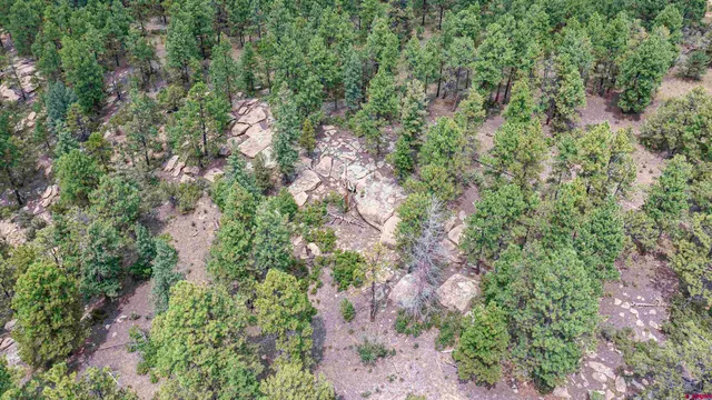 a view of outdoor space with trees