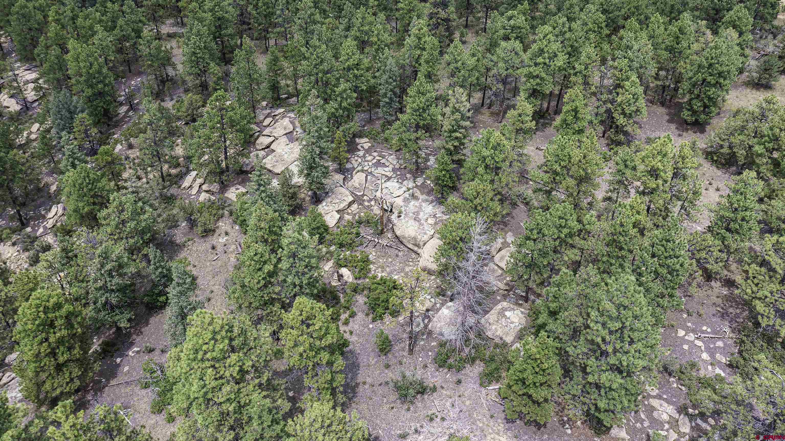 Tbd Tbd Rancho Escondido Weston, CO 81091 - Photo 9 of 44