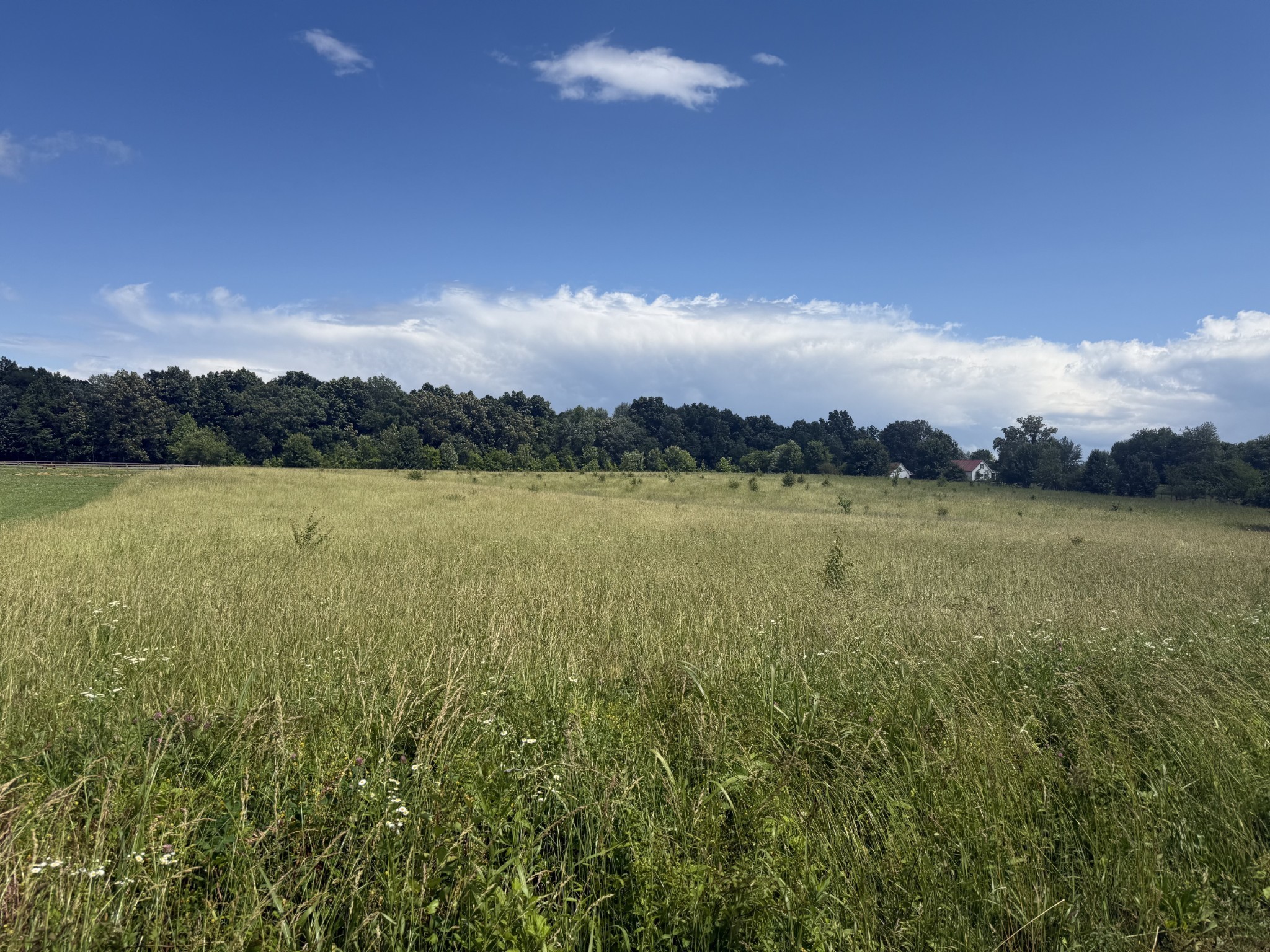 0 Bill Anderson Road Portland, TN 37148 - Photo 4 of 19